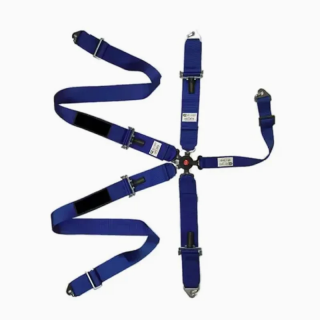 What is the defining role of Automotive Seat Belts in the era of autonomous driving?